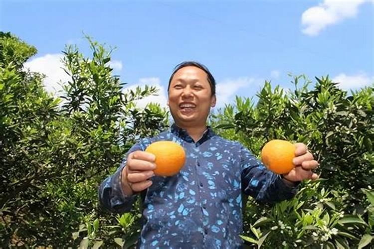 水稻什么时候撒锌肥