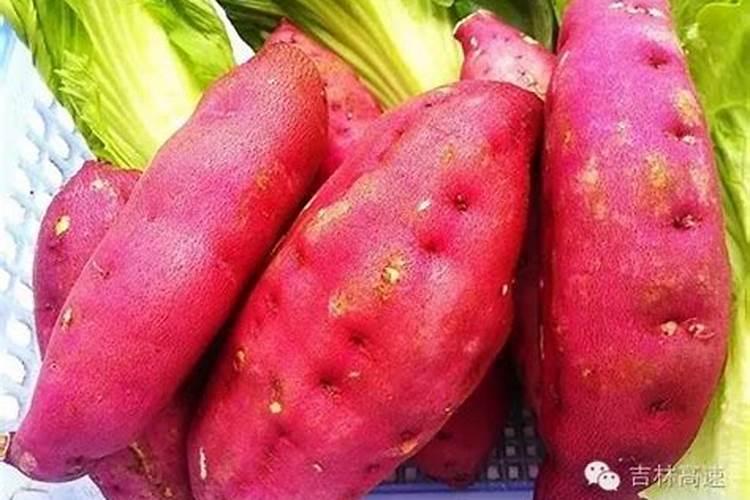 种红薯如何使用钾肥