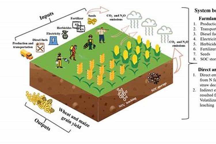尿素里的氮肥埋地后有效期是多长时间