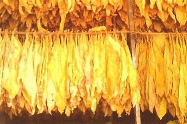 碳酸氢铵可以做肥料吗,正确的使用方法