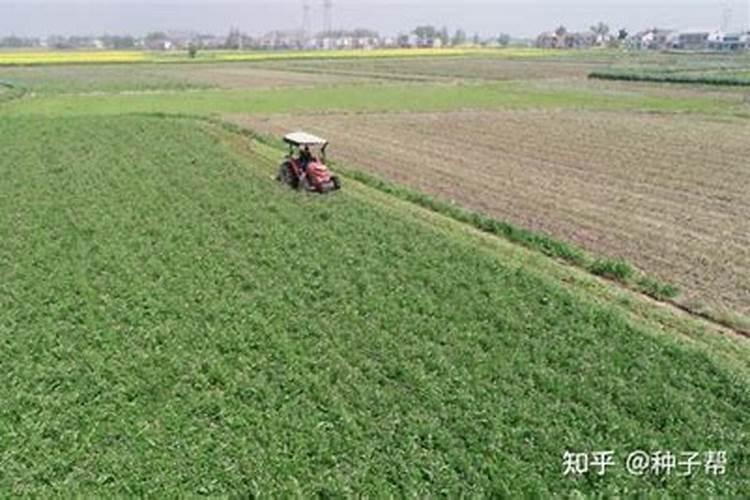 补充硒元素的叶面肥有哪些？