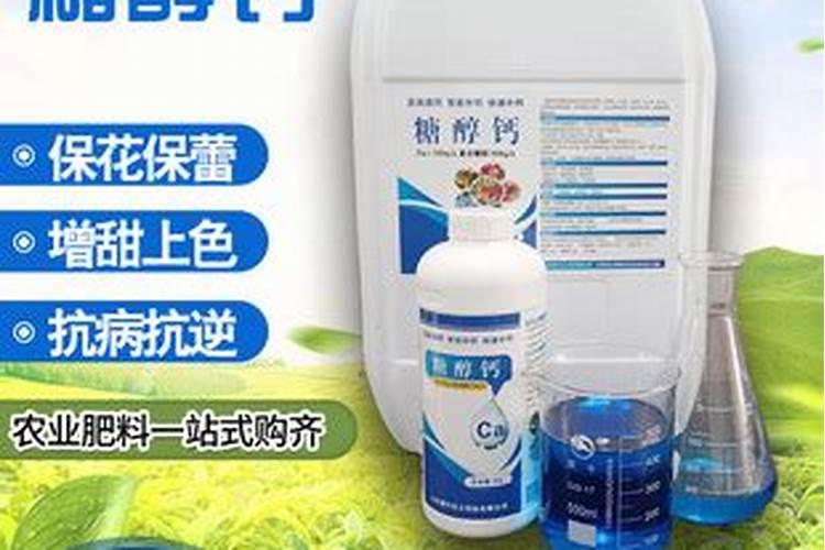 种植大白菜怎样施肥才产量高(种大白菜需要什么底肥)