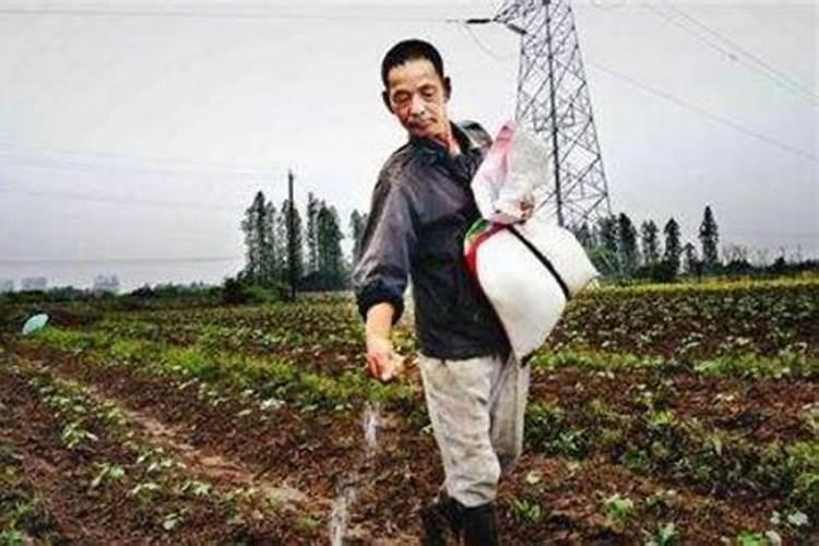 绿风速液态氮肥的具体使用方法和建议