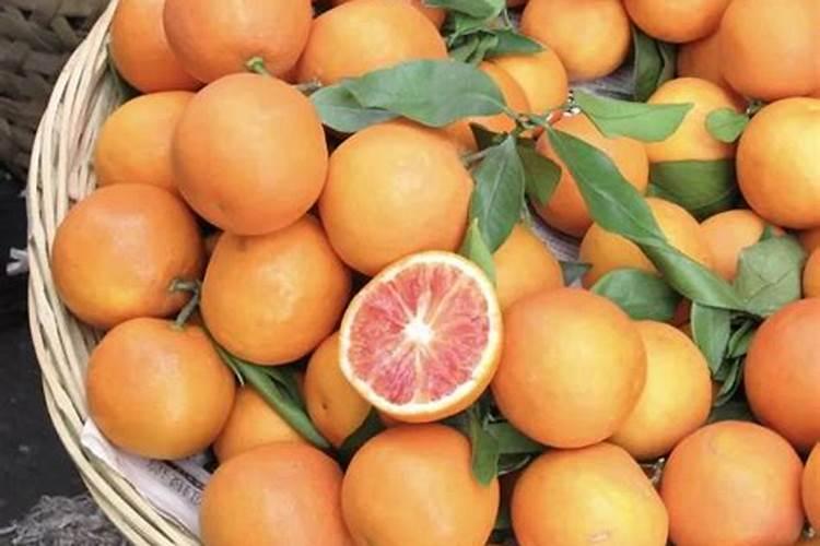 芒果催花,用什么比较好