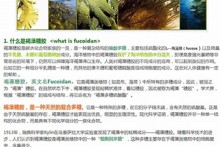 什么是海藻肥,有哪些功效 海藻肥是什么肥