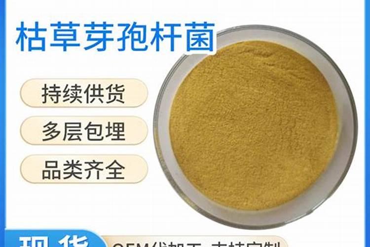 多粘类芽孢杆菌可以和海藻酸水溶肥一起浇碗豆吗？