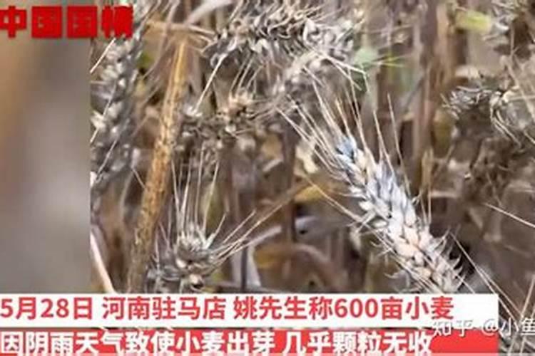 五谷杂粮呕烂成肥有什么成份吗