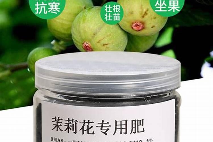 无花果保花保果打什么叶面肥？无花果挂果期用的肥料？