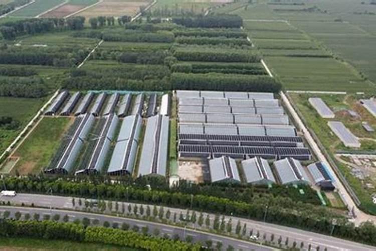 中国最好的硅肥生产企业有哪些？推荐几家,我想代理硅肥