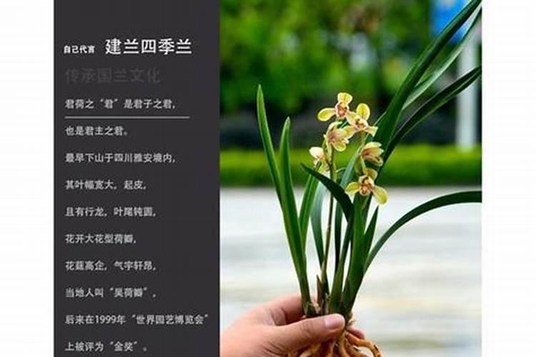 大豆打完除草剂多久可以打叶面肥水？
