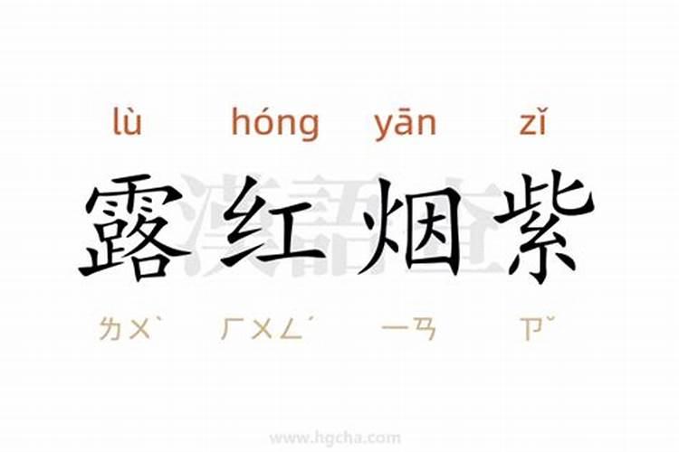 水溶肥是什么肥料怎样使用