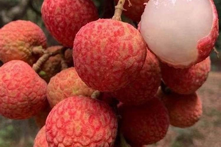 荔枝怎么洗才干净