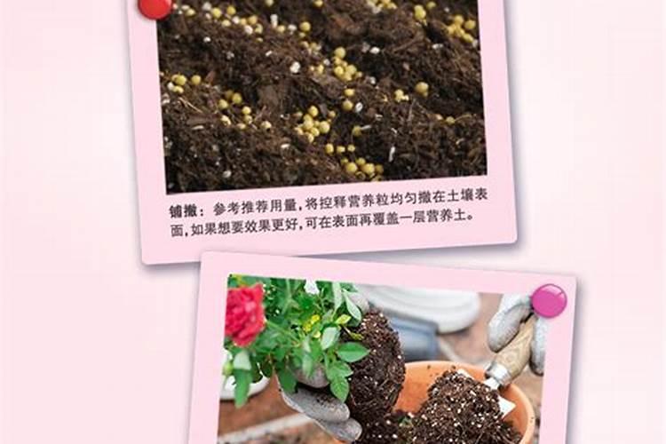控释肥养花怎么用