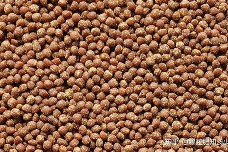 生根剂灌根的正确方法