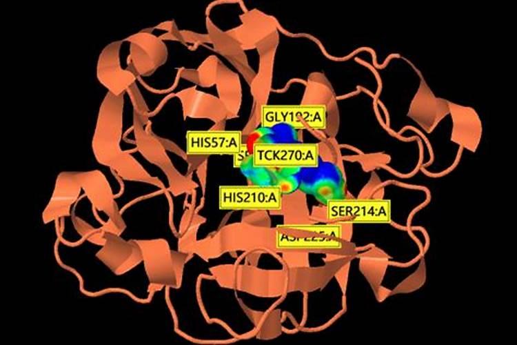 绿肥翻压时配施氮磷肥的原因分析及建议
