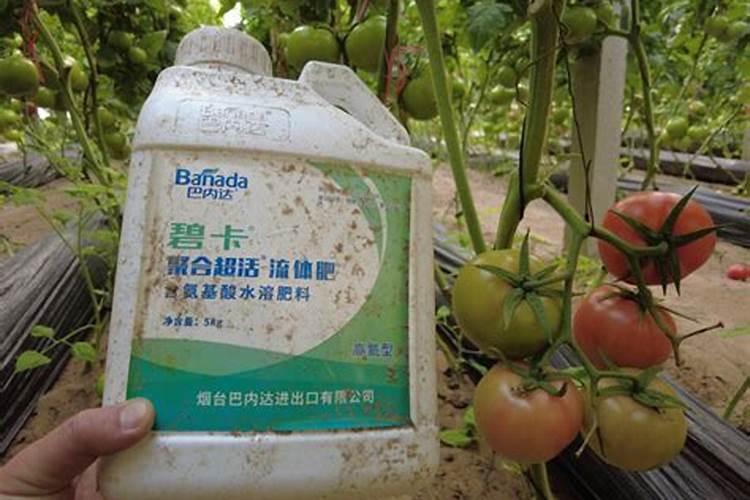 国内排名前十名的水溶肥