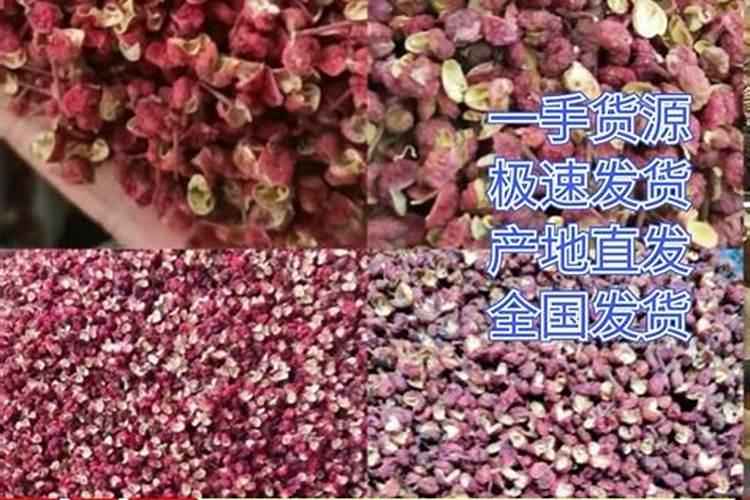 盐亭新鲜青花椒油