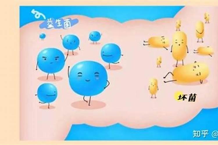 化肥的应用是导致有益菌和营养素缺少的原因吗？