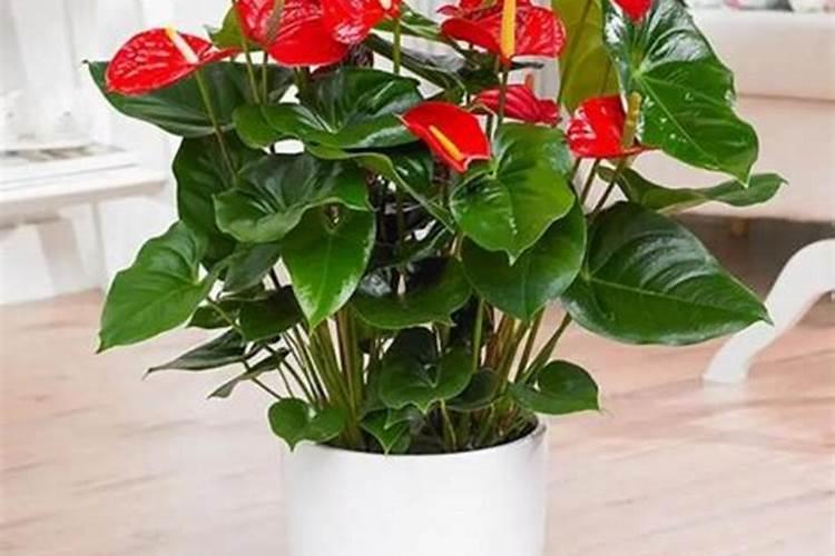 冰袋里面是什么 这个夏天不再炎热