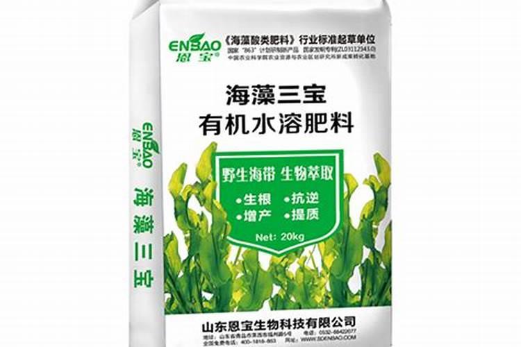 怎么让杏子快速变熟变甜