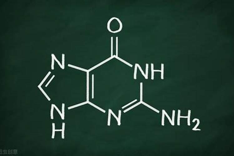 怎样种植速成种南瓜