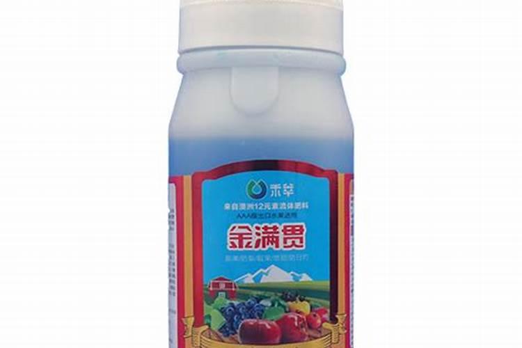 沙糖桔什么时候开花