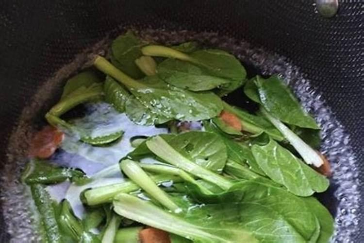 青菜施肥了几天后可以吃