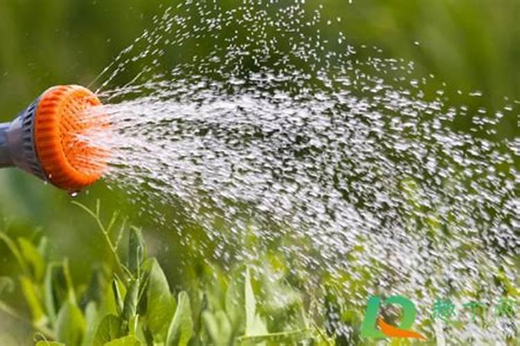 有机肥料的特点及作用,种树用复合肥还是有机肥