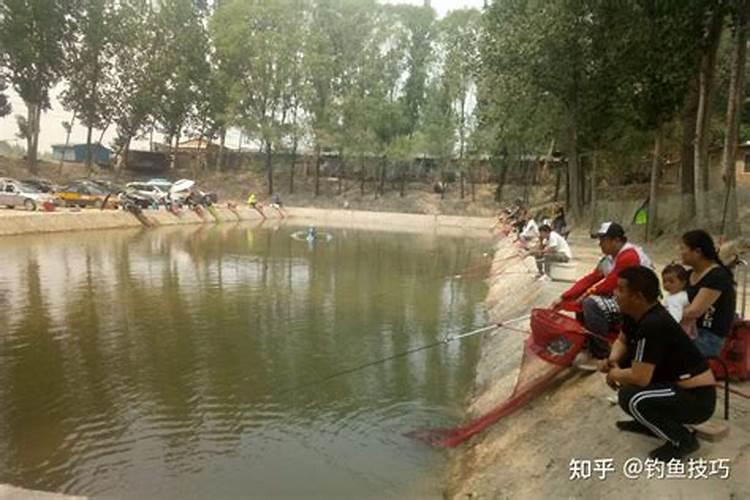 钓鱼怎么判断水肥水瘦