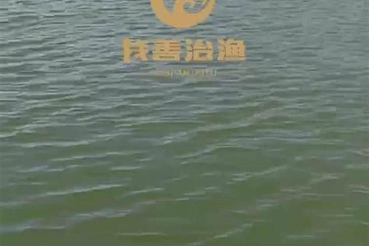 为什么夏产盐,冬产硝