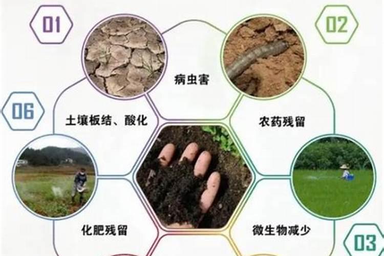 用肥过量使用的危害,氮肥过量的防止办法