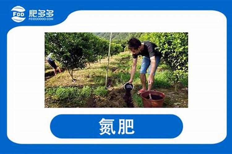 花椒木腐病发生原因,如何防治,防治方法