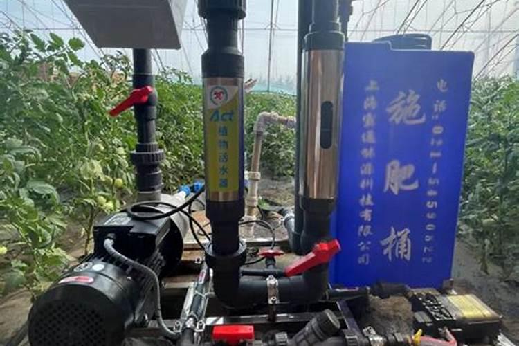 水溶肥的优势前景