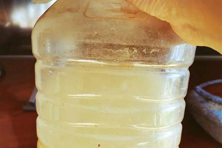 学会沤制三款肥水,以后养花的肥料不用买啦