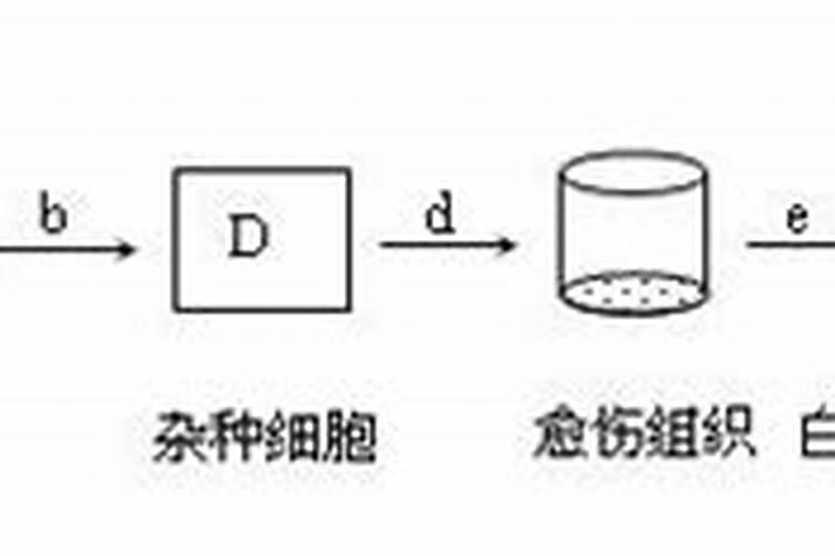 大棚种植需要注意什么？用什么肥料好!