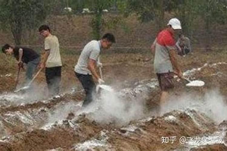 什么三个时间是生石灰万万不能使用的？