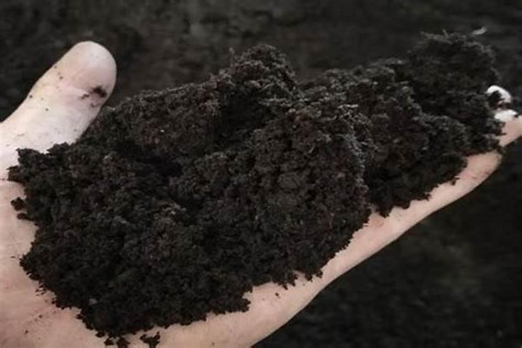 氮肥使用过量有哪些危害？氮肥使用技巧!