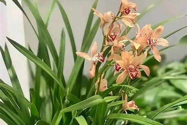 倍倍爱多种维生素软咀嚼片效果怎么样？