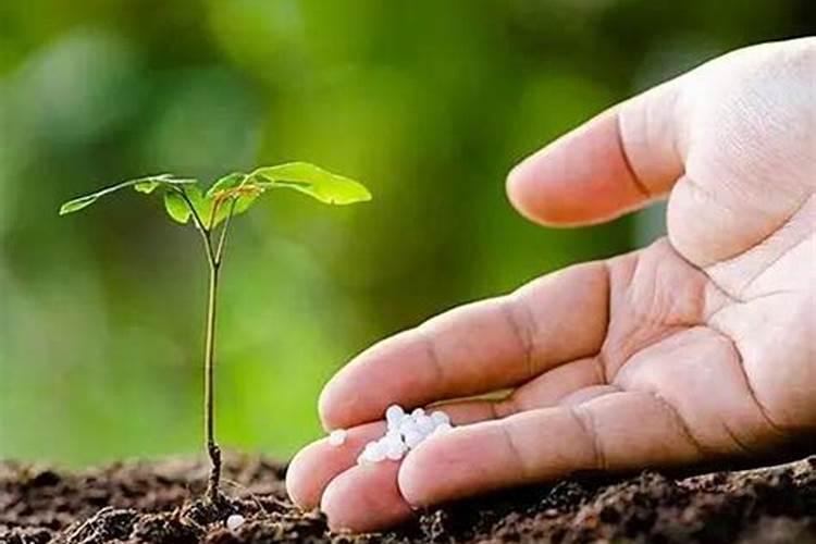 钾肥的作用 钾肥简介