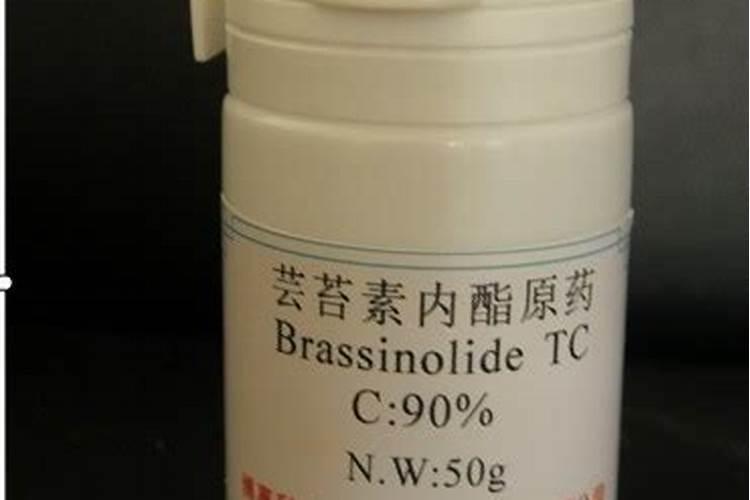 芸苔素内酯的分类和作用