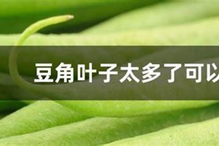 豆角开花期打什么叶面肥 豆角花期可以喷施叶面肥吗