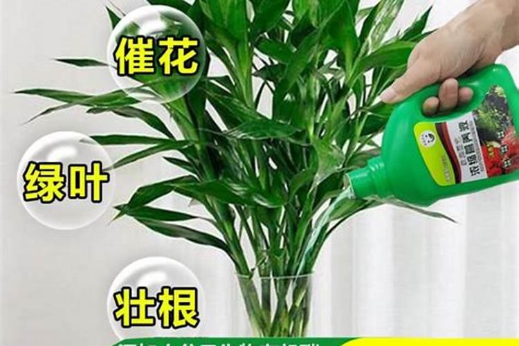 我想请问一下氮肥、磷肥(磷酸二铵)、钾肥(氯化钾)的价格分别是多少