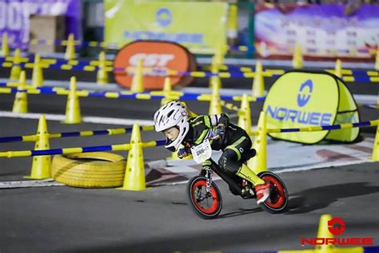 365天开花机器——蓝茄花