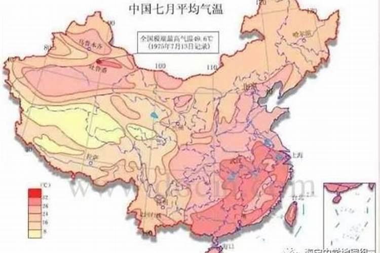 枣树施肥小窍门