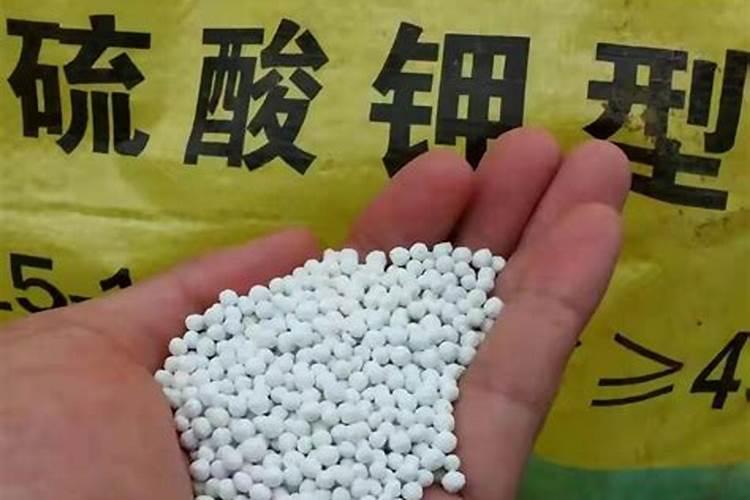 腐植酸的执行标准是什么呢