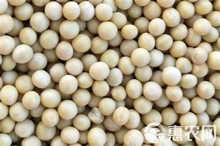 大豆什么时候施肥 大豆施肥的最佳时期