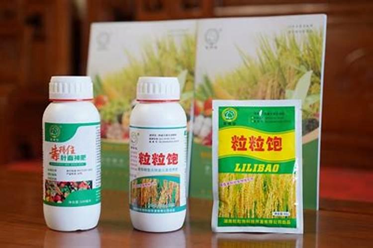 水稻专用叶面肥哪个厂家好？叶面肥哪个品牌好？叶面肥用根小子效果好...