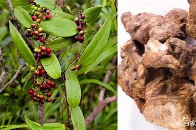 黄芩地用什么除草剂