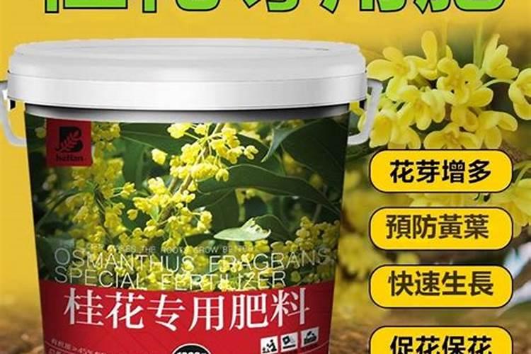 桂花施什么肥料最好