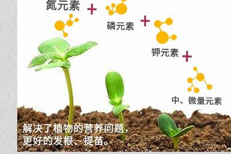 腐植酸是什么东西,腐植酸的作用